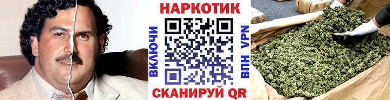 Виды наркоты Рошаль Кокаин ГАШИШ Марихуана