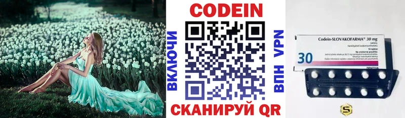 купить закладку  Рошаль  Кодеин напиток Lean (лин) 