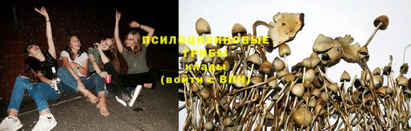 кокаин VHQ Арсеньев