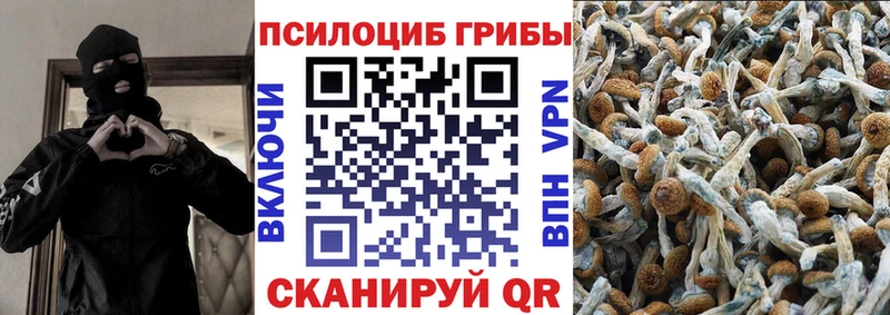 Псилоцибиновые грибы Magic Shrooms  Рошаль 